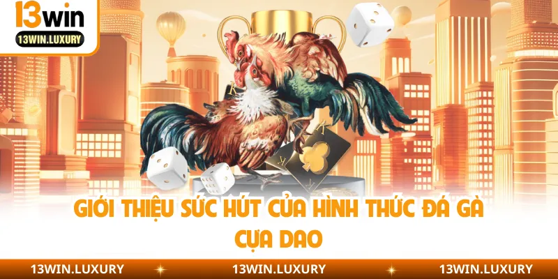 Giới thiệu sức hút của hình thức đá gà cựa dao
