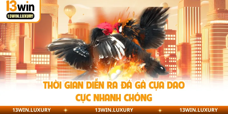 Thời gian diễn ra đá gà cựa dao cực nhanh chóng 