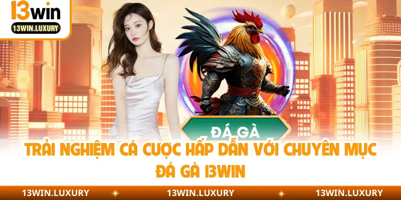 Trải nghiệm cá cược hấp dẫn với chuyên mục đá gà 13Win